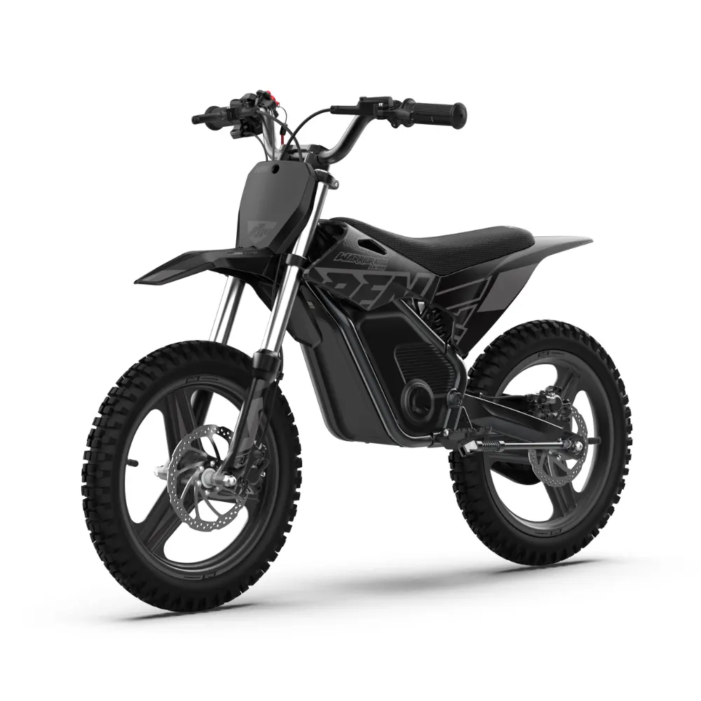 RFN Warrior SX‑E800 Electric Bike - Black