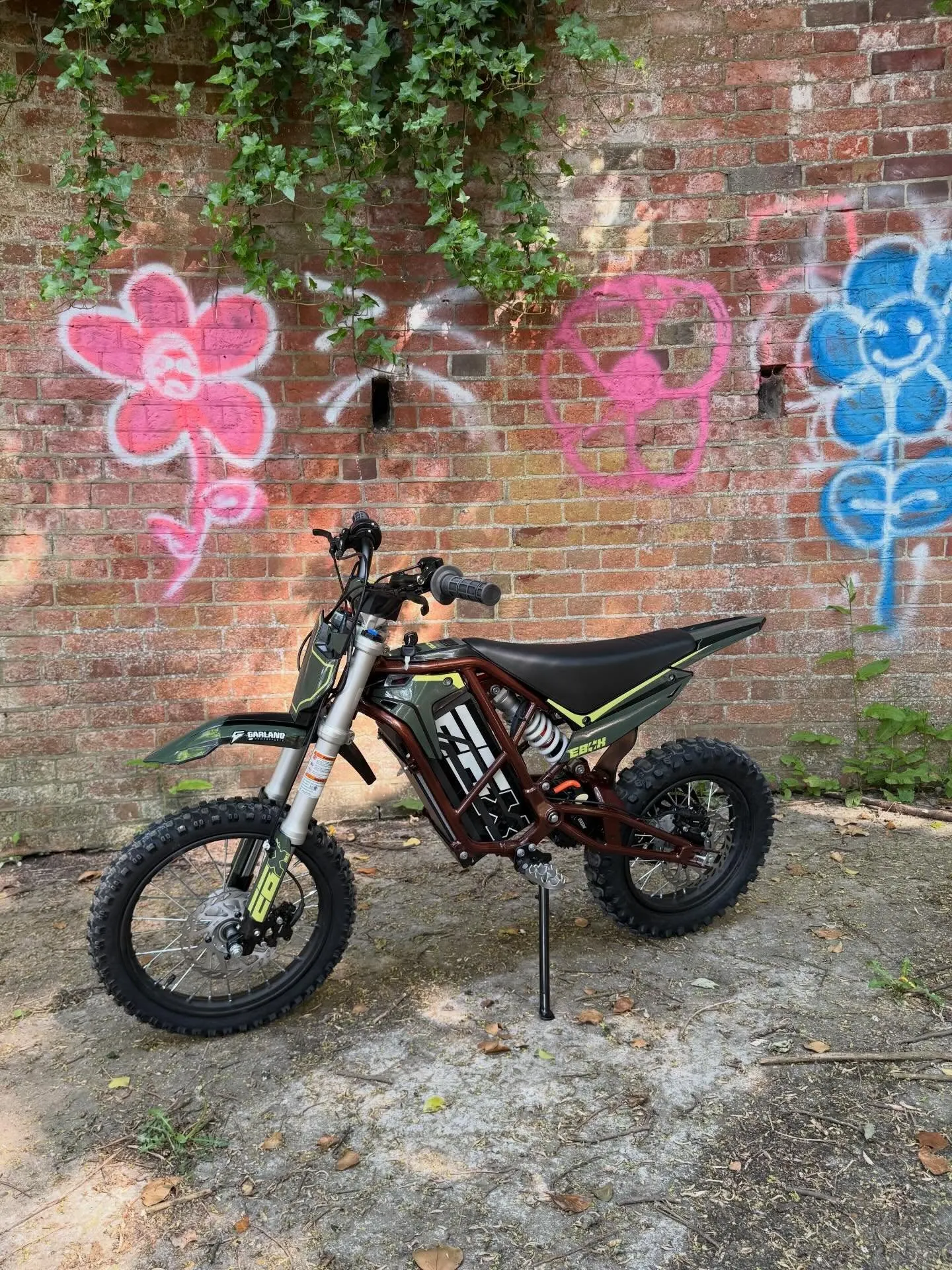 EBOX V3 60R performance electric dirt bike