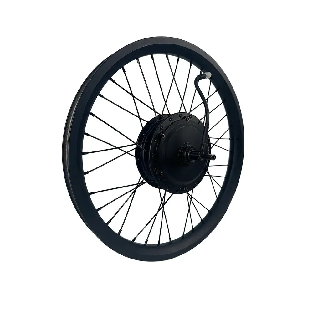 Amped A20 Pro Motor (Complete OEM with Wheel)