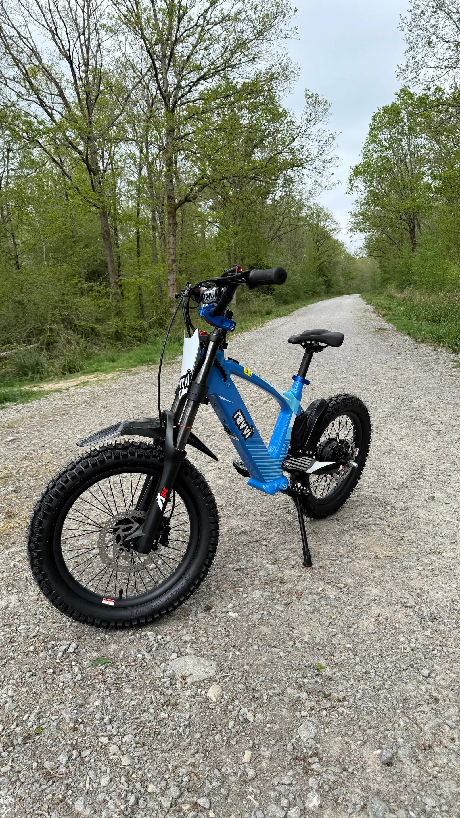Revvi 18 electric bike