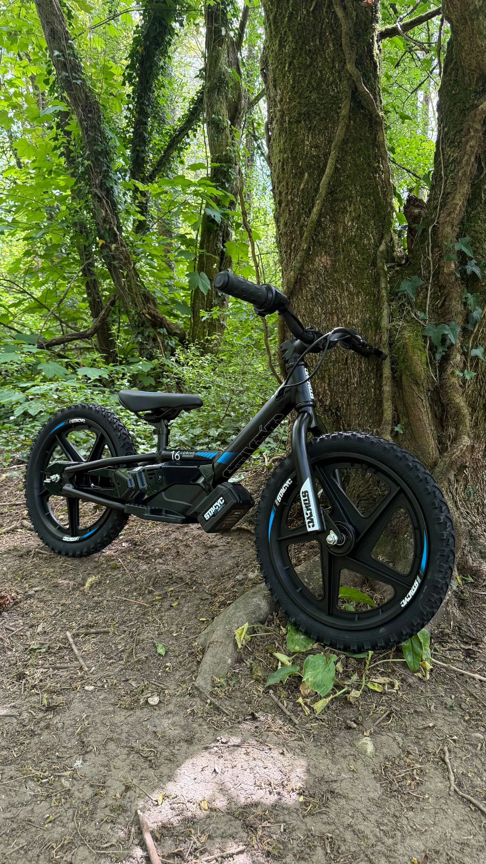 STACYC 16eDRIVE electric balance bike
