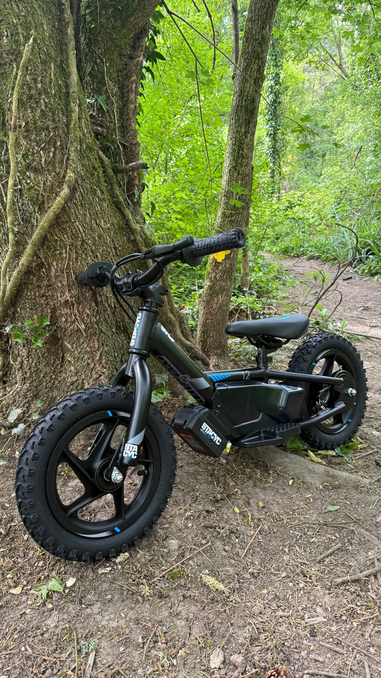STACYC 12eDRIVE electric balance bike for younger riders