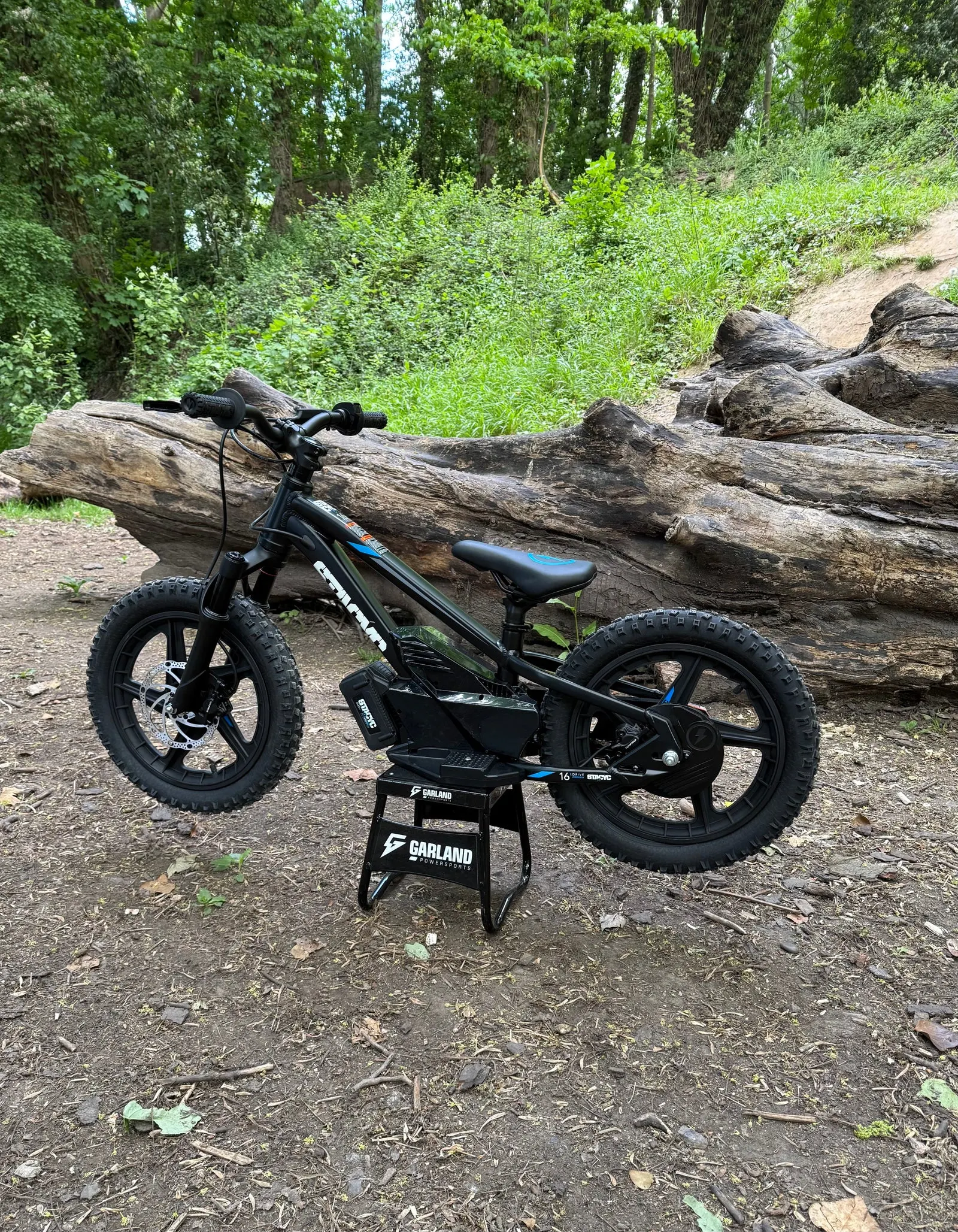 STACYC 16eDRIVE ELITE