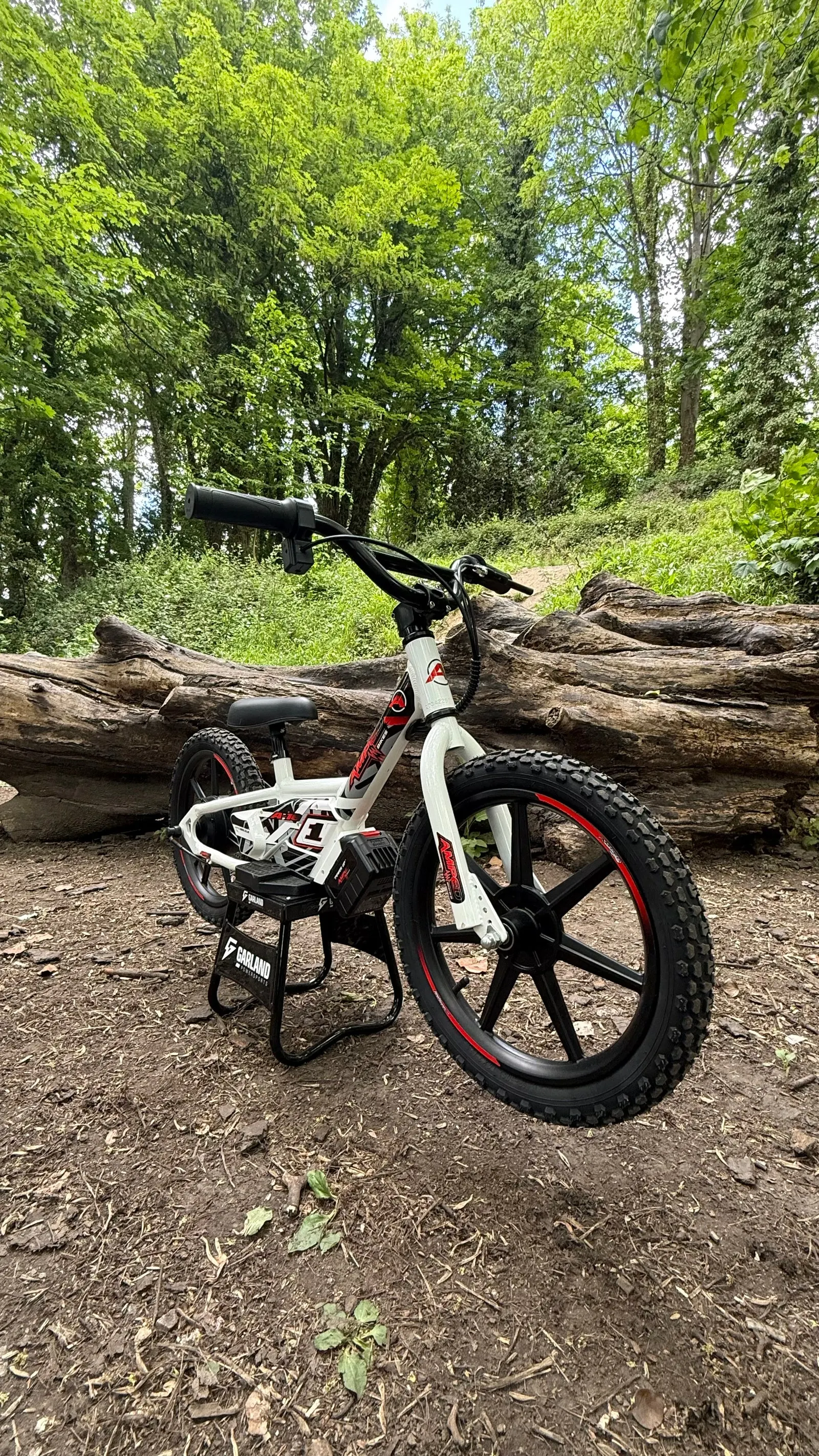 Amped A16 electric bike for children